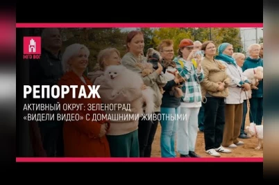 Блоги глухих